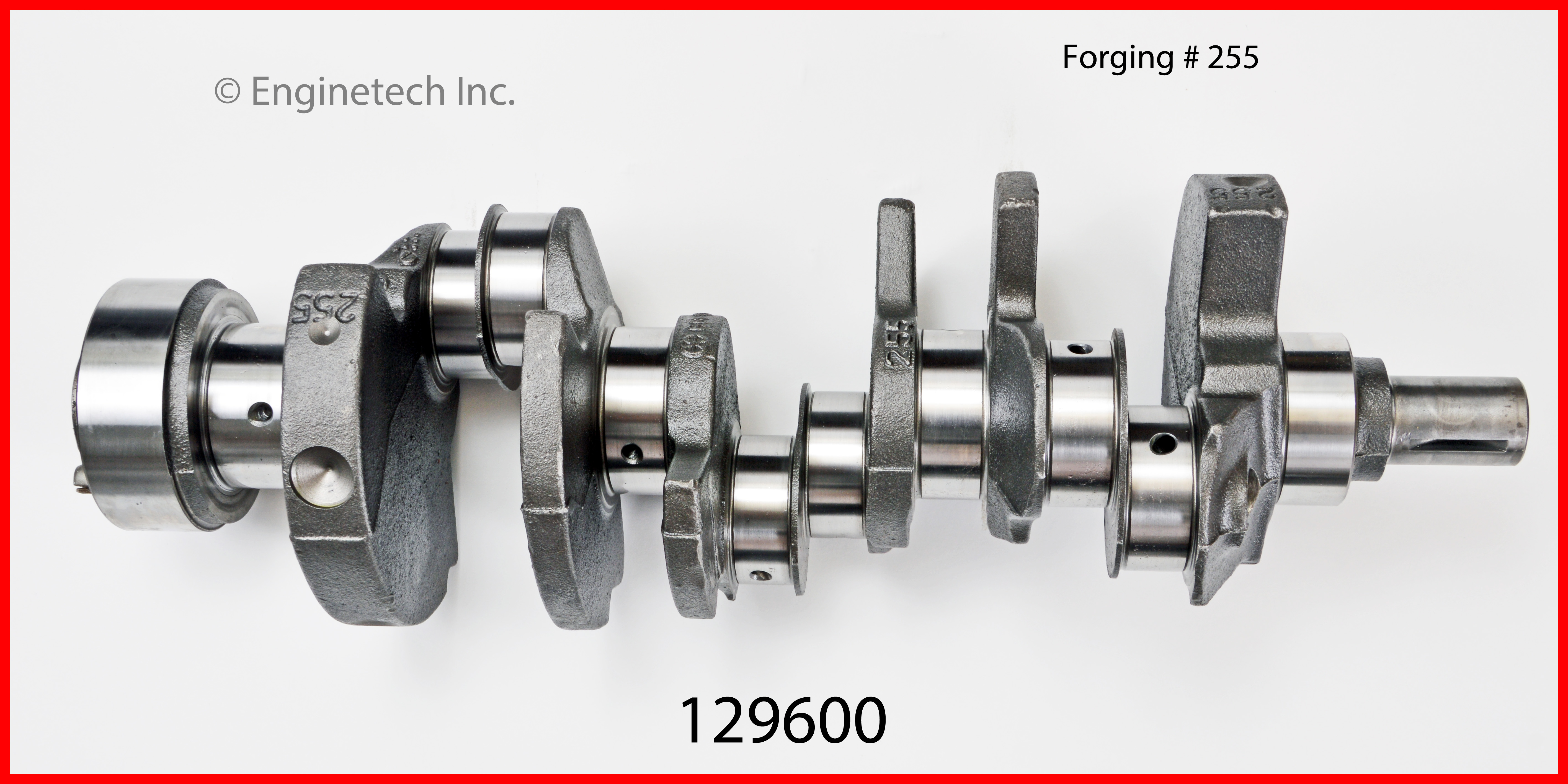 Engine Crankshaft Kit