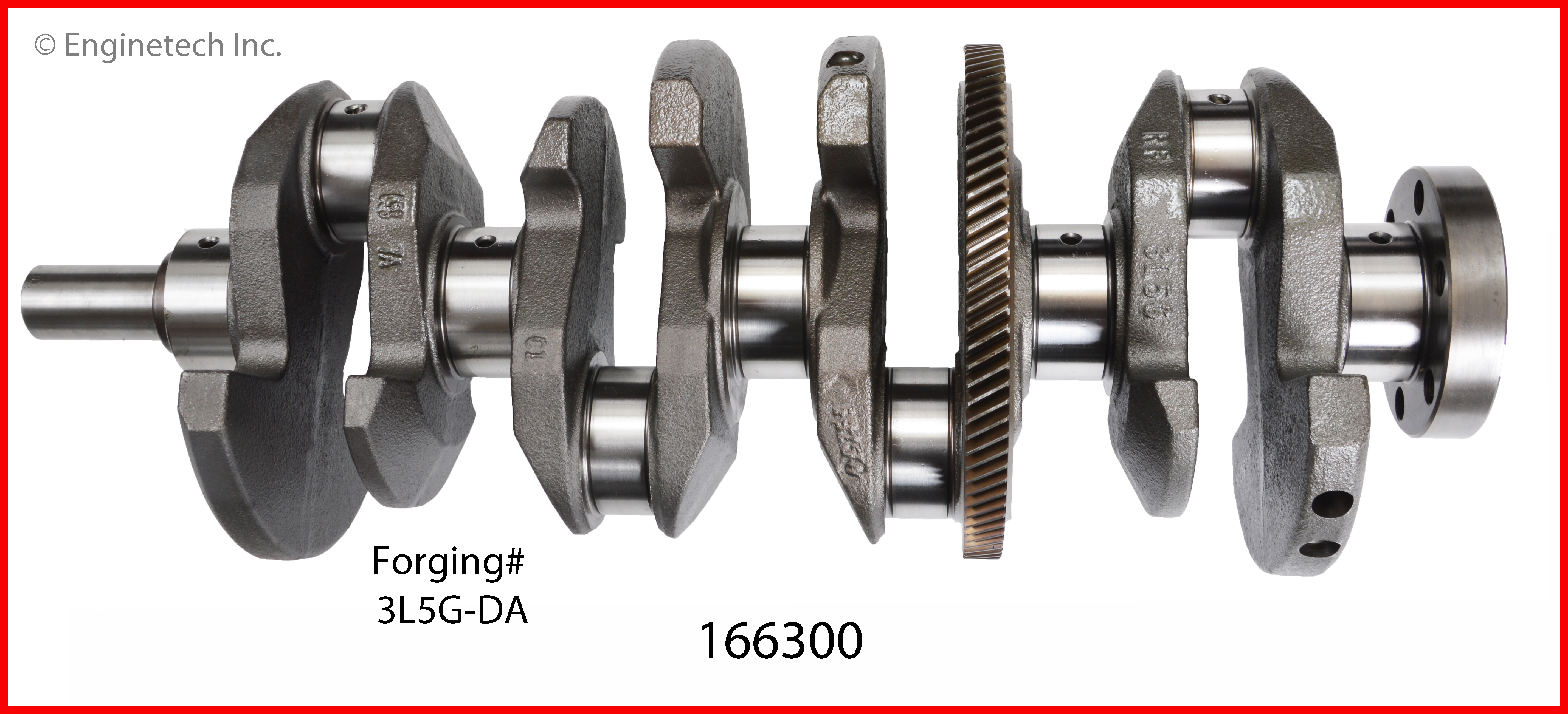 Engine Crankshaft Kit