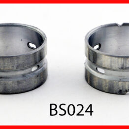 Engine Balance Shaft Bearing Set