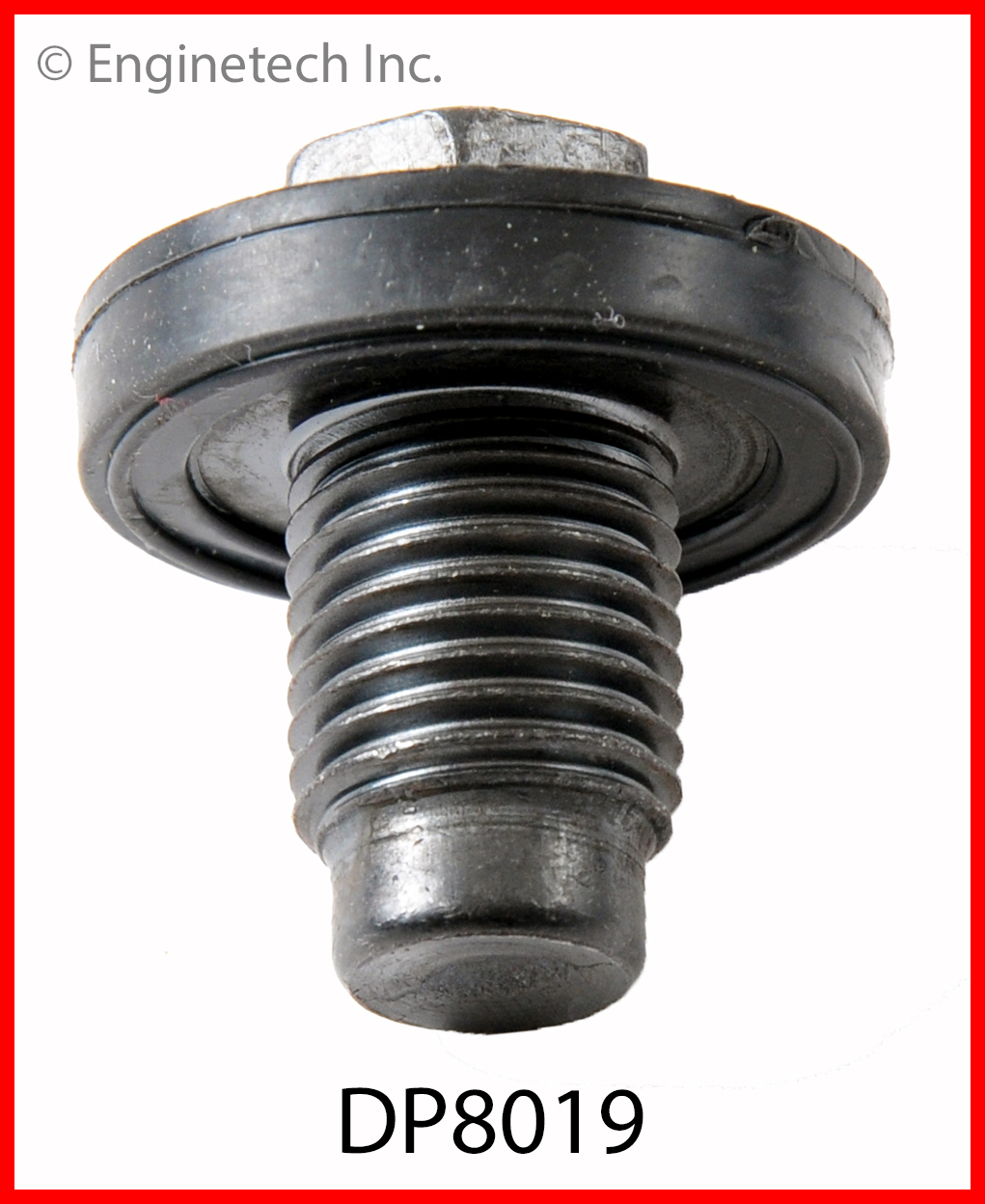 Engine Oil Drain Plug