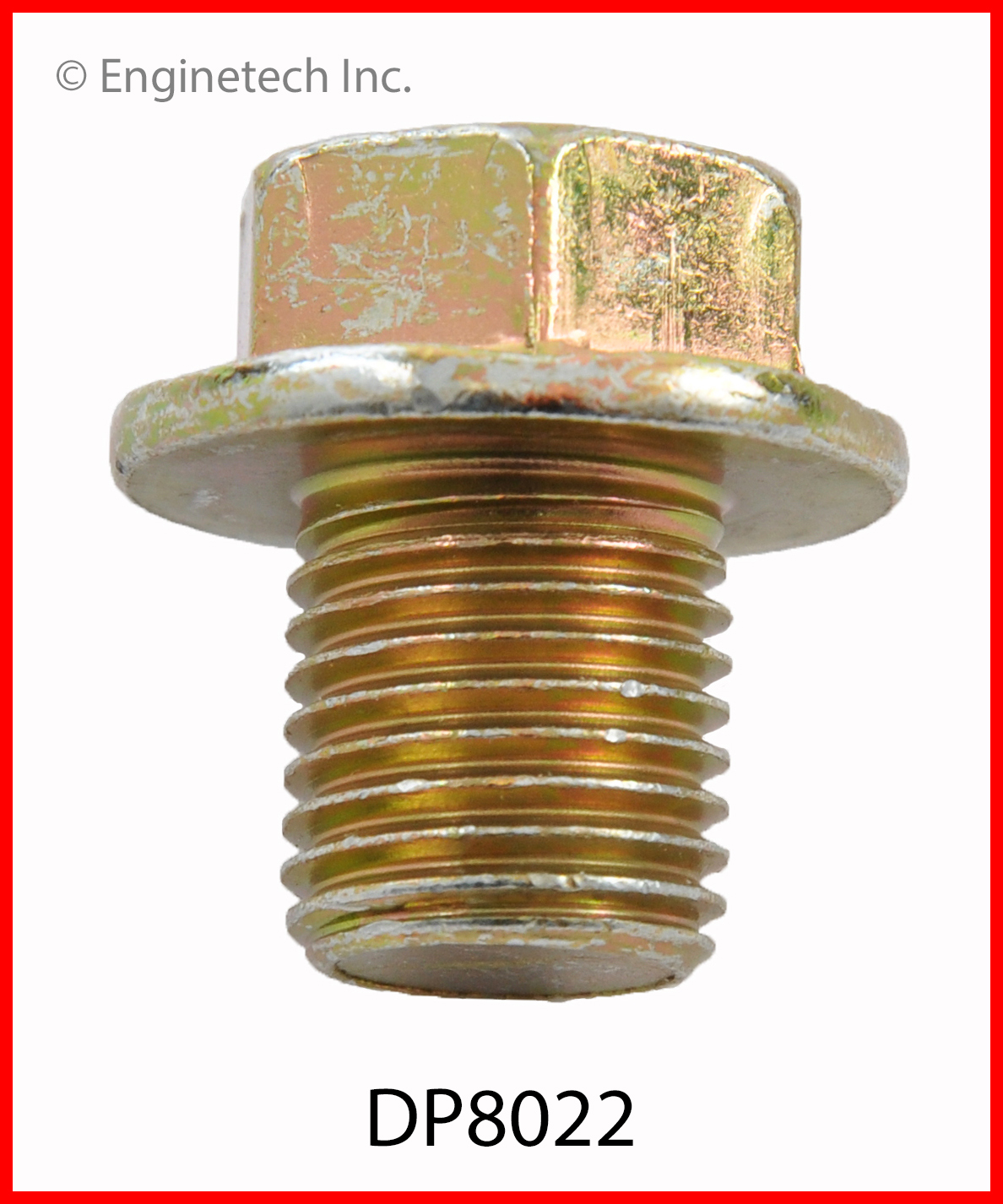 Engine Oil Drain Plug