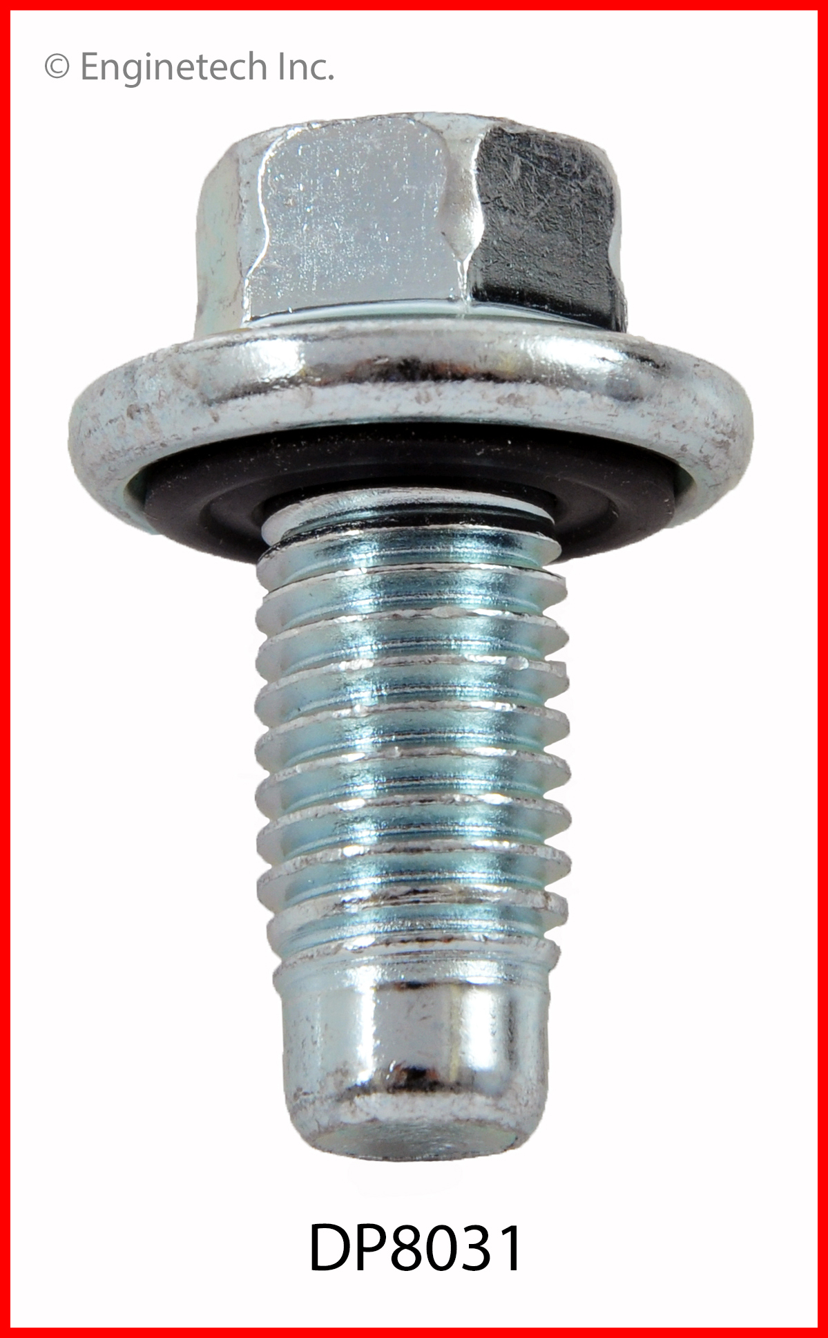 Engine Oil Drain Plug