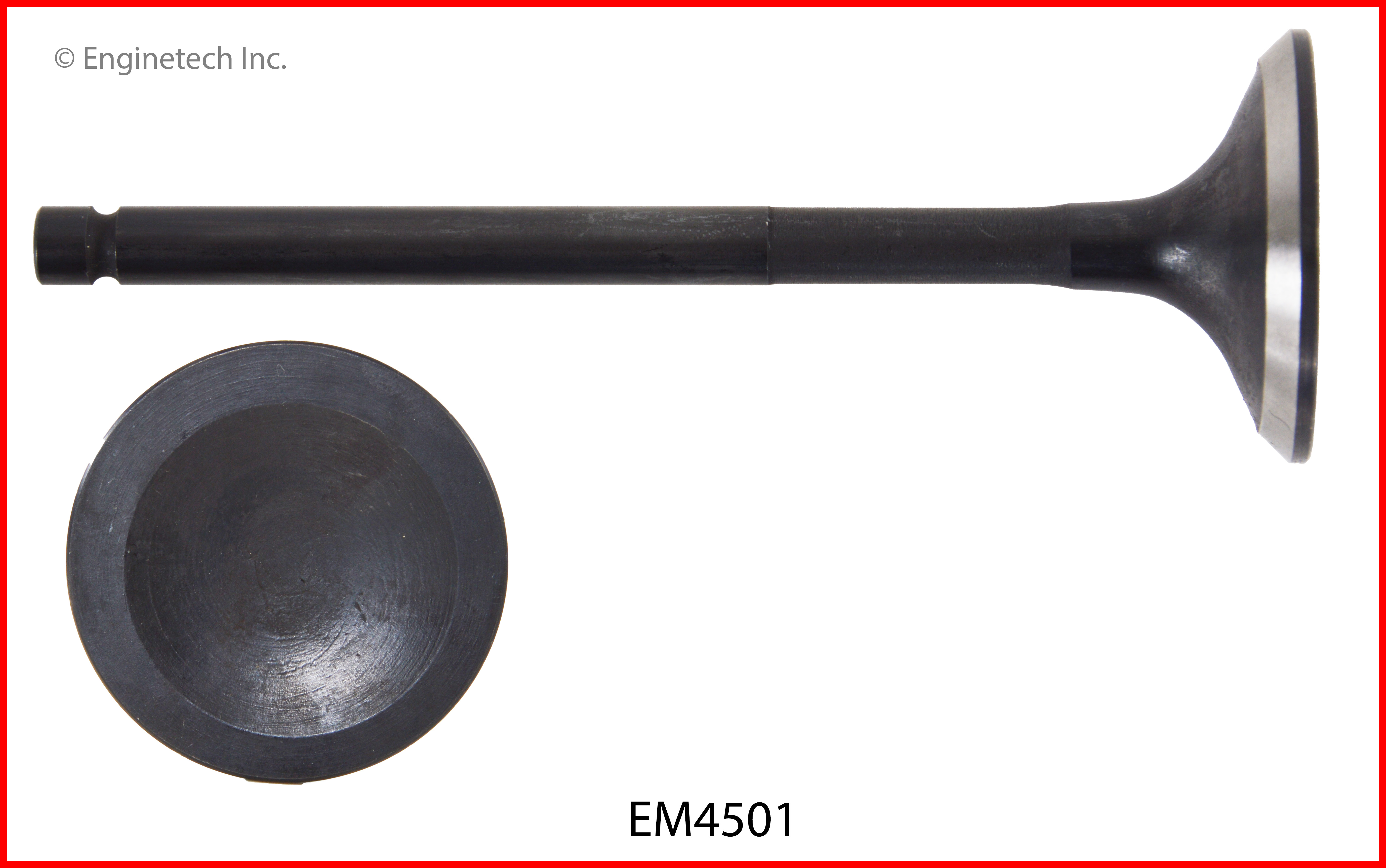 Engine Exhaust Valve