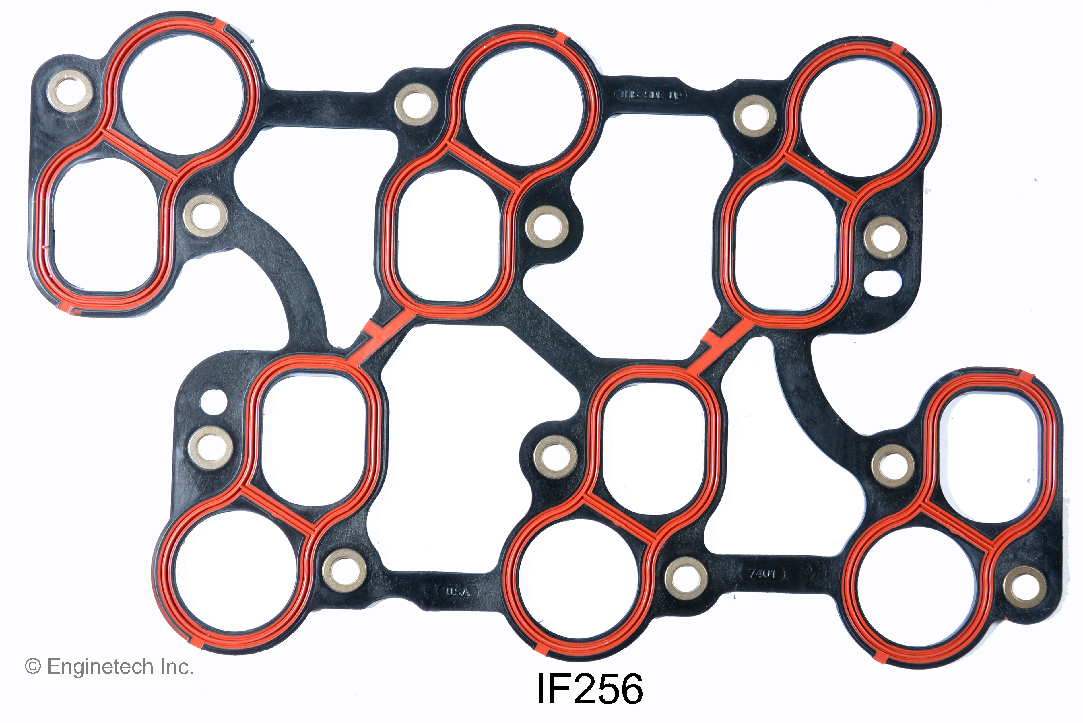 Fuel Injection Plenum Gasket