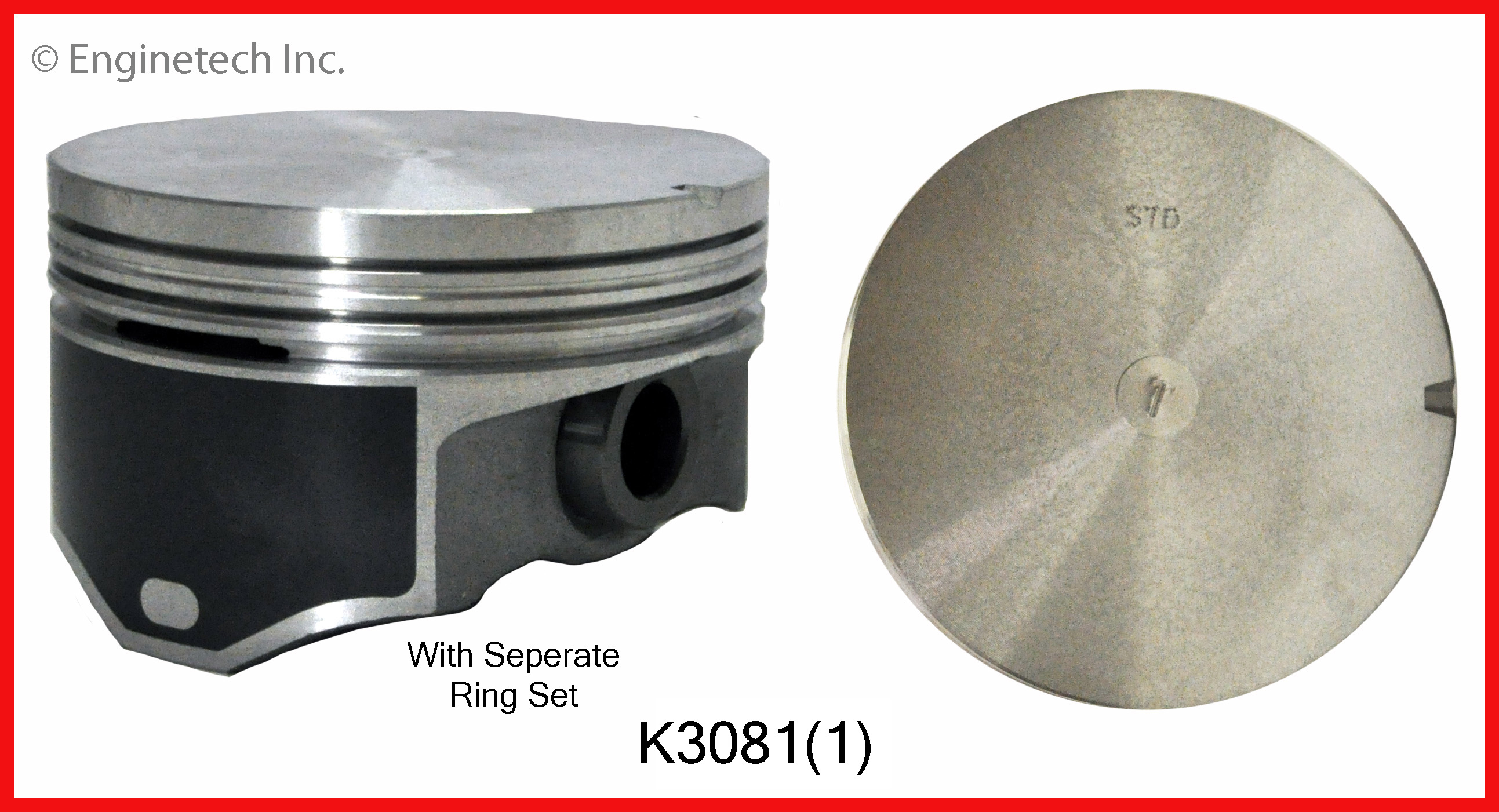 Engine Piston Kit