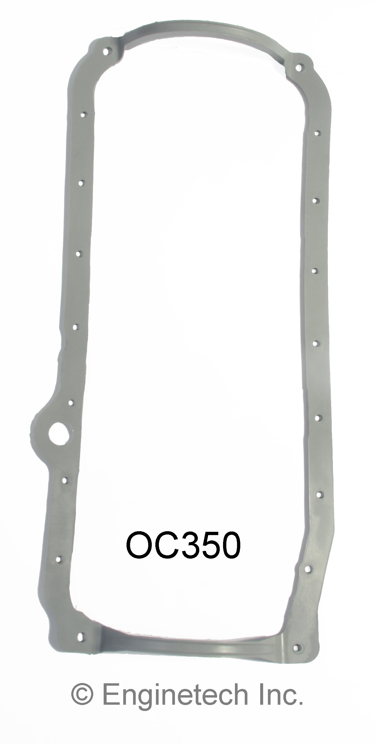 Engine Oil Pan Gasket