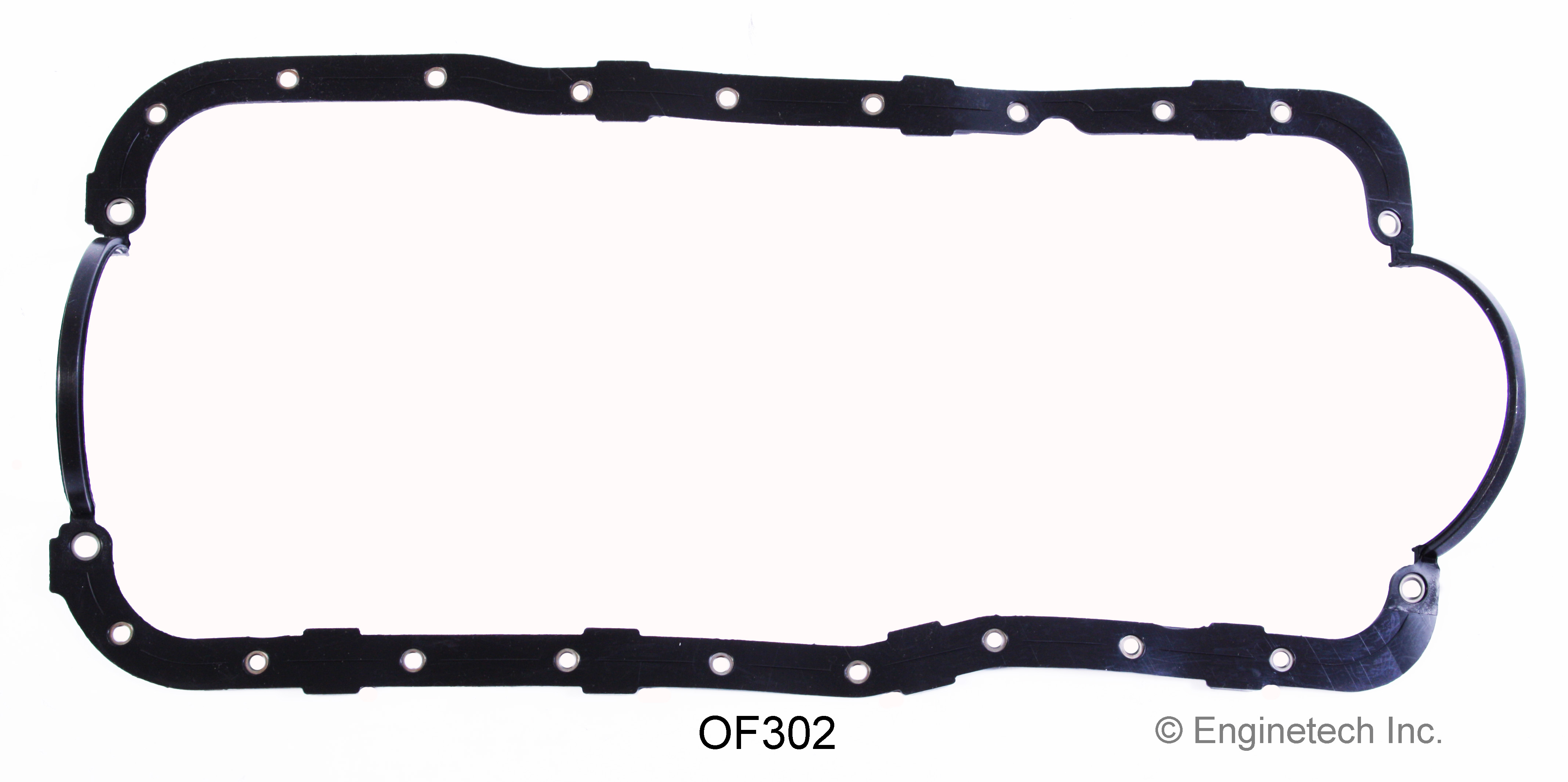 Engine Oil Pan Gasket