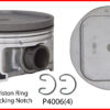 Engine Piston Set