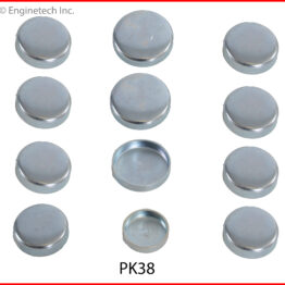 Engine Expansion Plug Kit