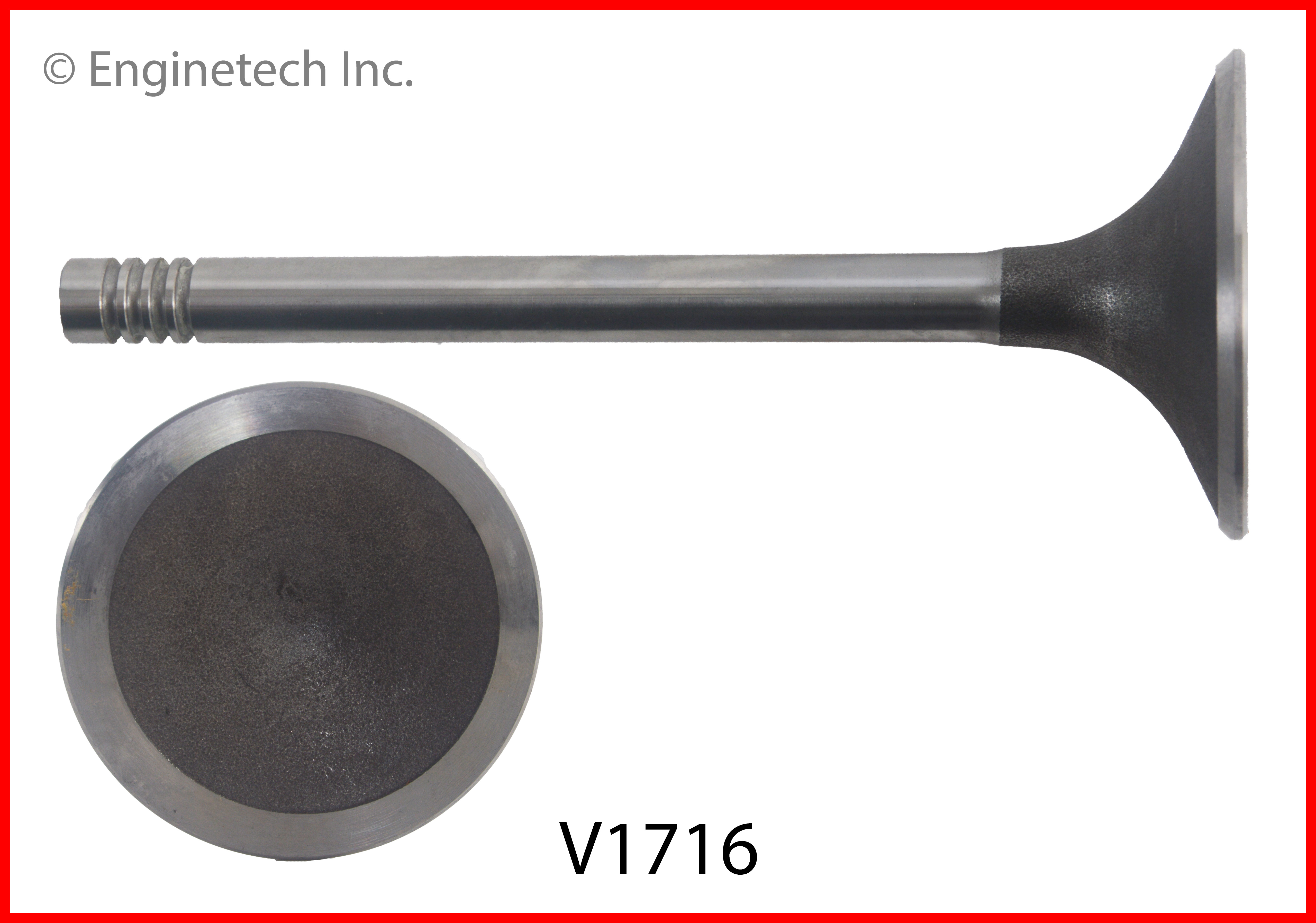 Engine Intake Valve