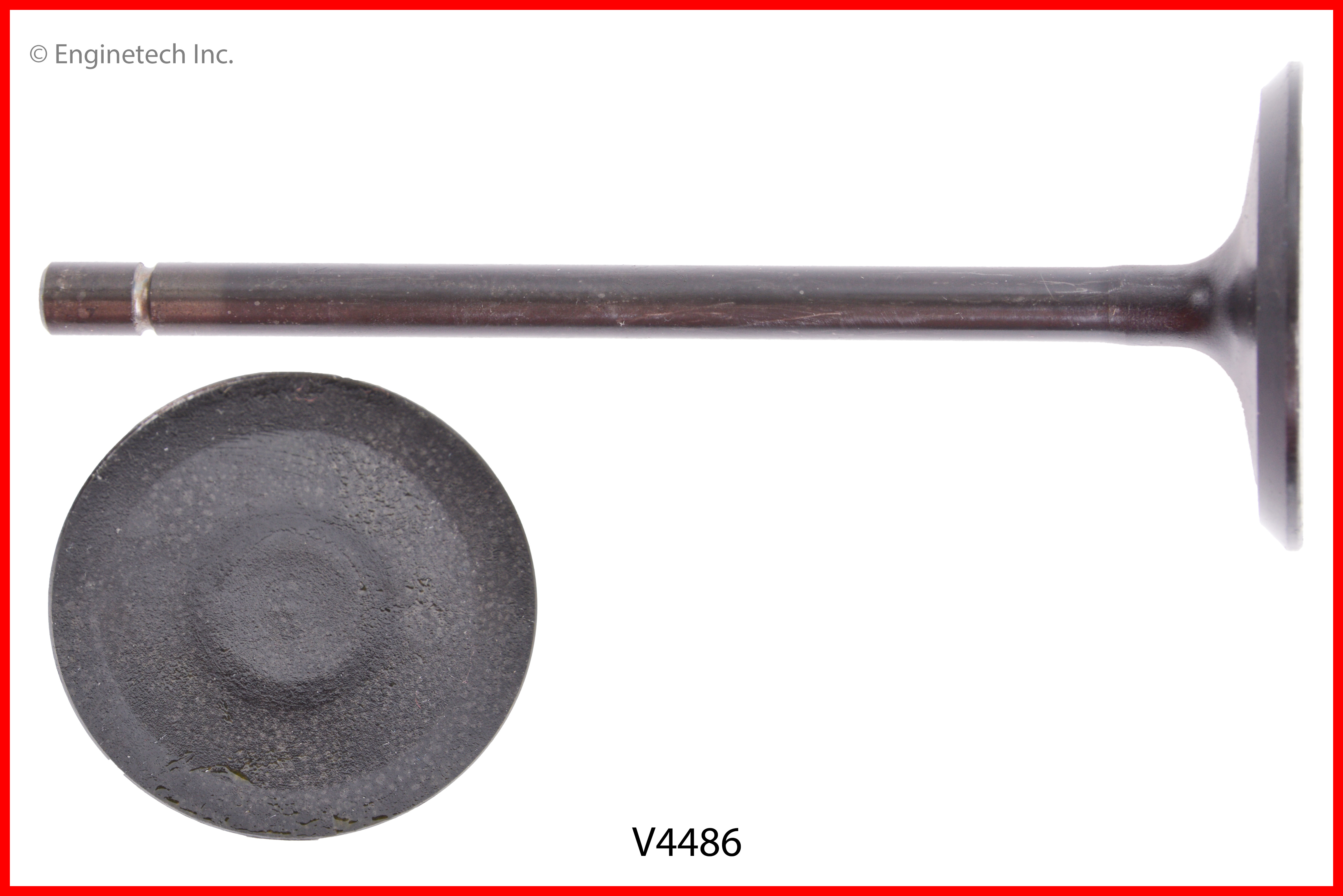 Engine Intake Valve