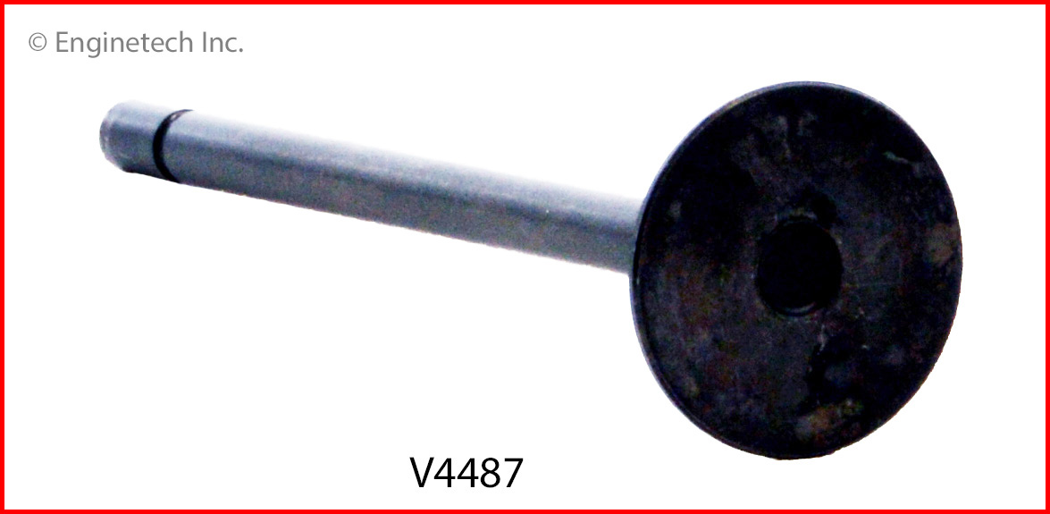 Engine Exhaust Valve