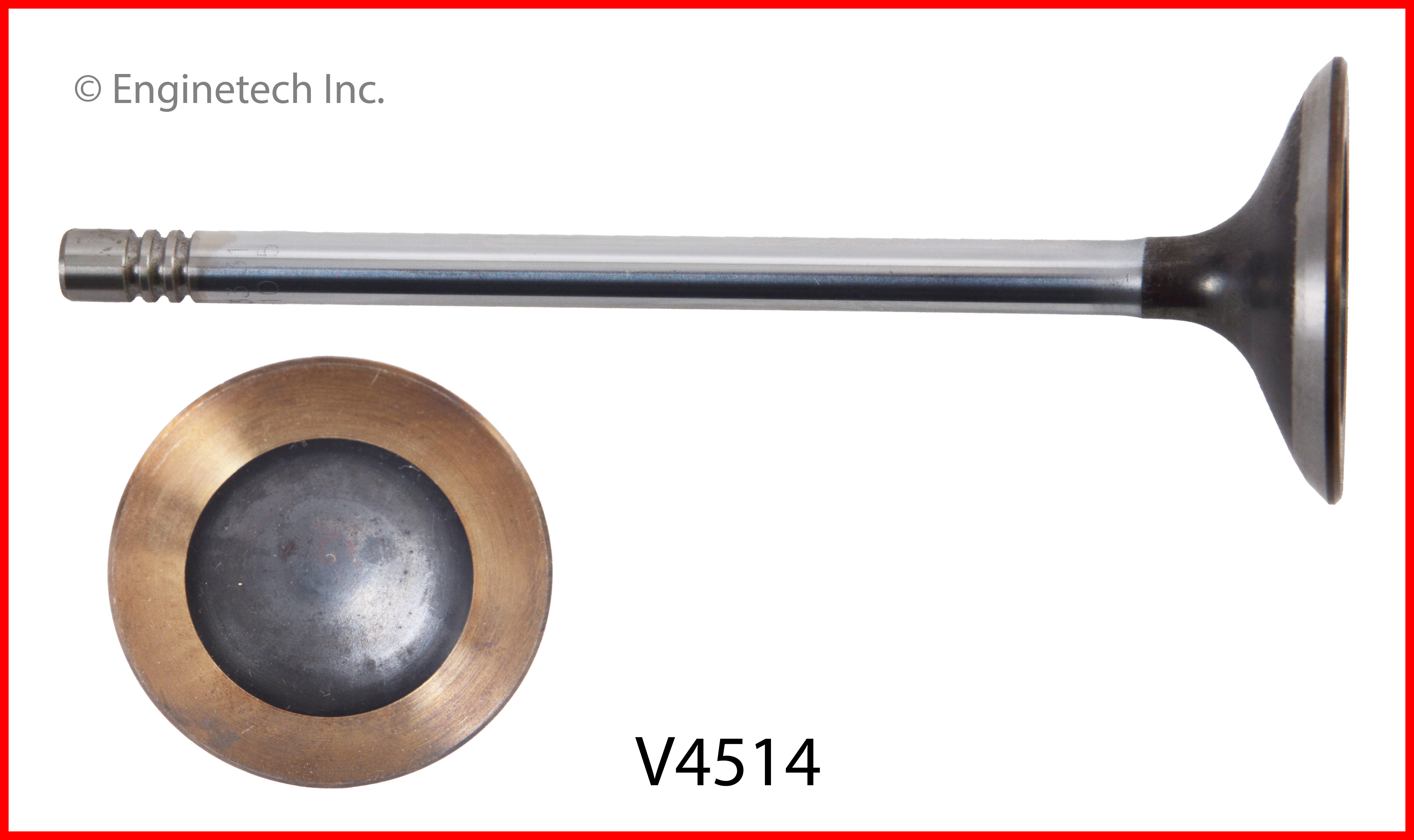 Engine Intake Valve